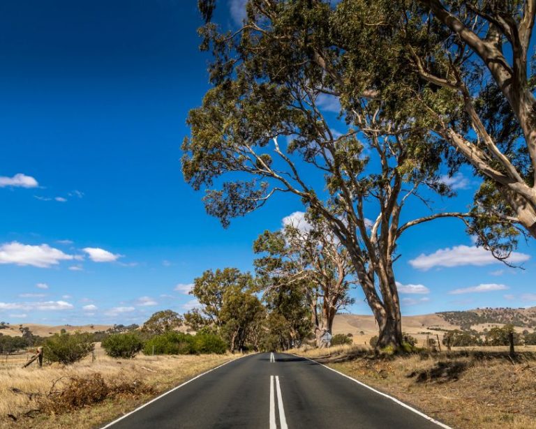 Caravan Sales Adelaide Avan Adelaide